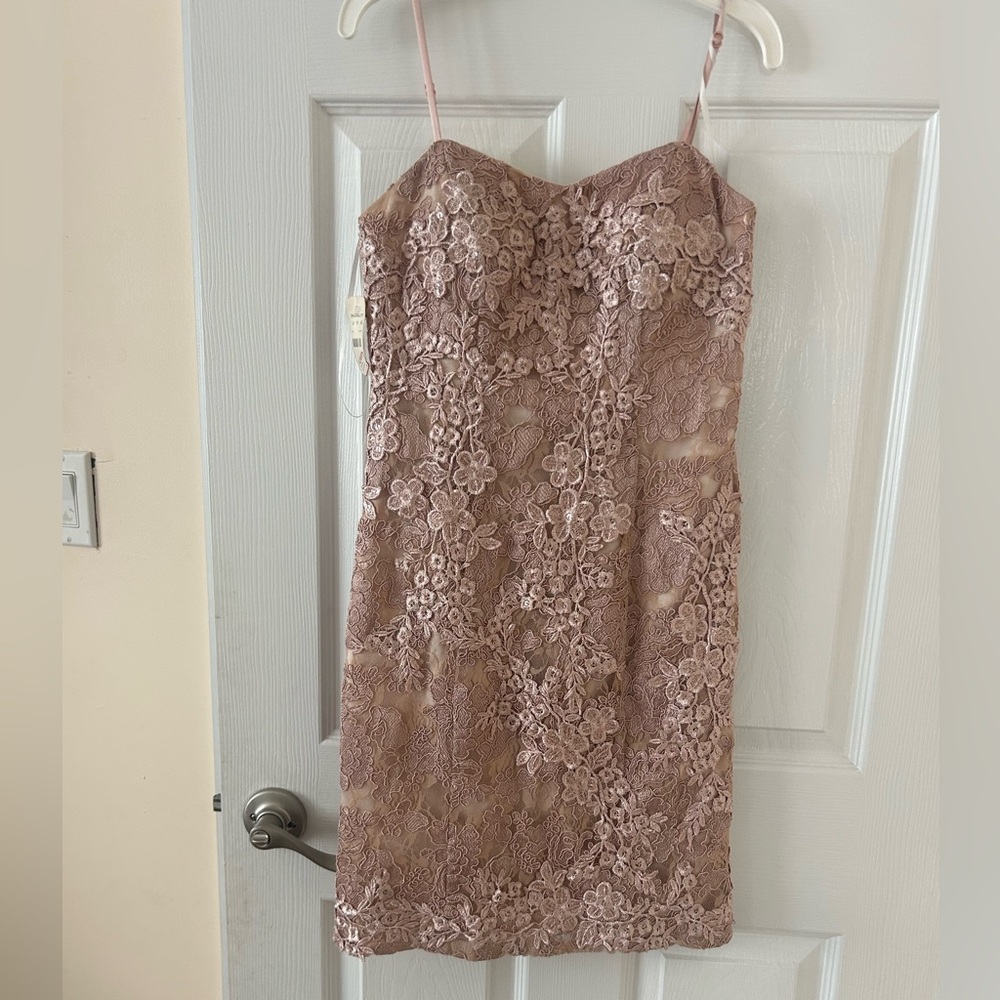Decode 1.8 Lace Floral Dress in Blush Pink Sz 0 new tag